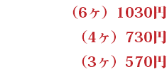（6ヶ）1030円 （4ヶ）730円 （3ヶ）570円